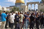 73 مستوطنا يهودياً يقتحمون باحات المسجد الأقصى