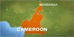 Young boy kills four in suicide bomb at mosque in northern Cameroon