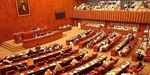 مجلس الشيوخ الباكستاني يدين الإساءة للنبي (ص) في هولندا