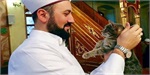 Istanbul: Kitty-loving imam opens doors of mosque to stray cats