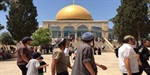 86 مستوطناً يقتحمون المسجد الأقصى في حراسة الاحتلال