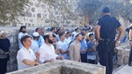 Nearly 1,000 Israeli settlers storm al-Aqsa Mosque in occupied al-Quds